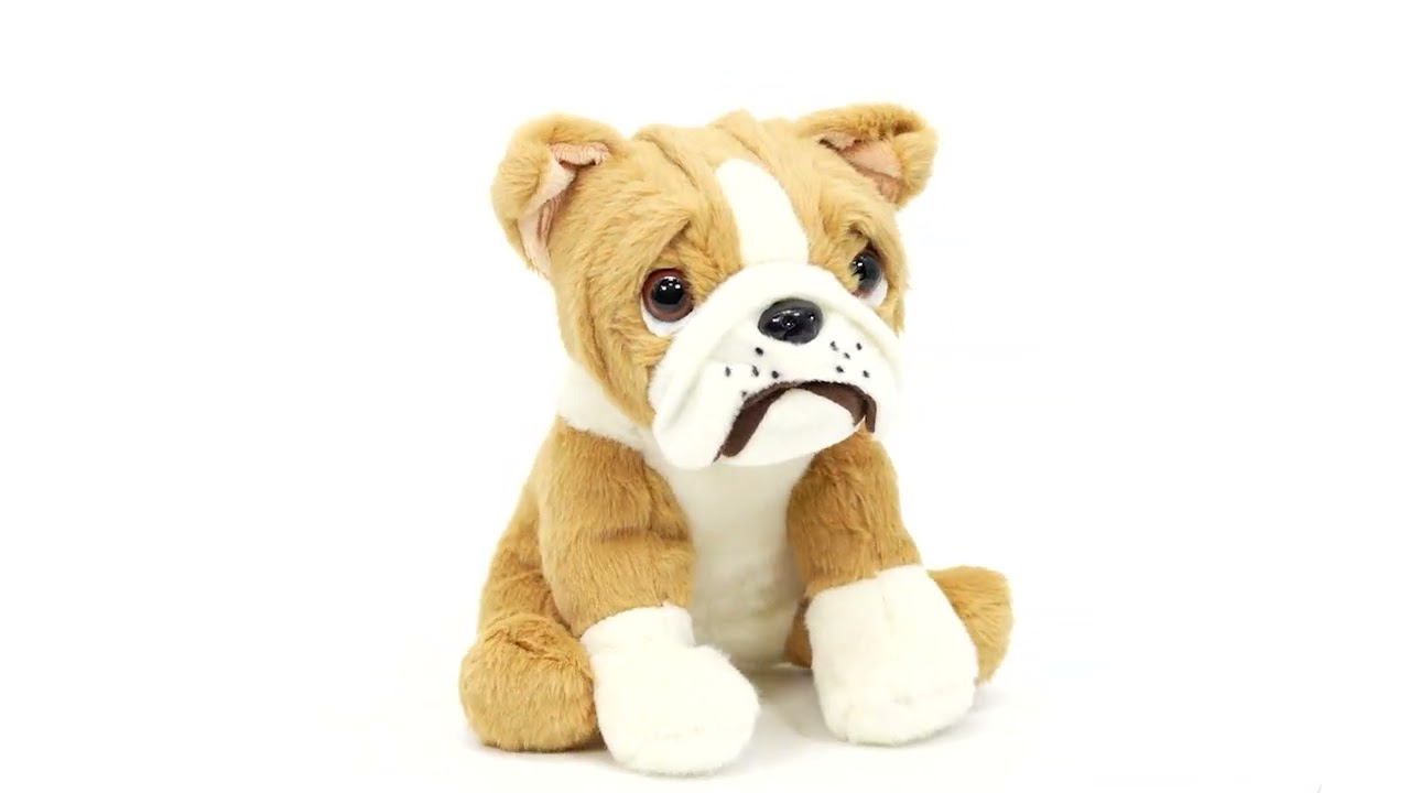 Small Sitting English Bulldog Soft Toy