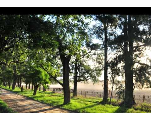 Asle - Thank You (Sidelmann Edit)