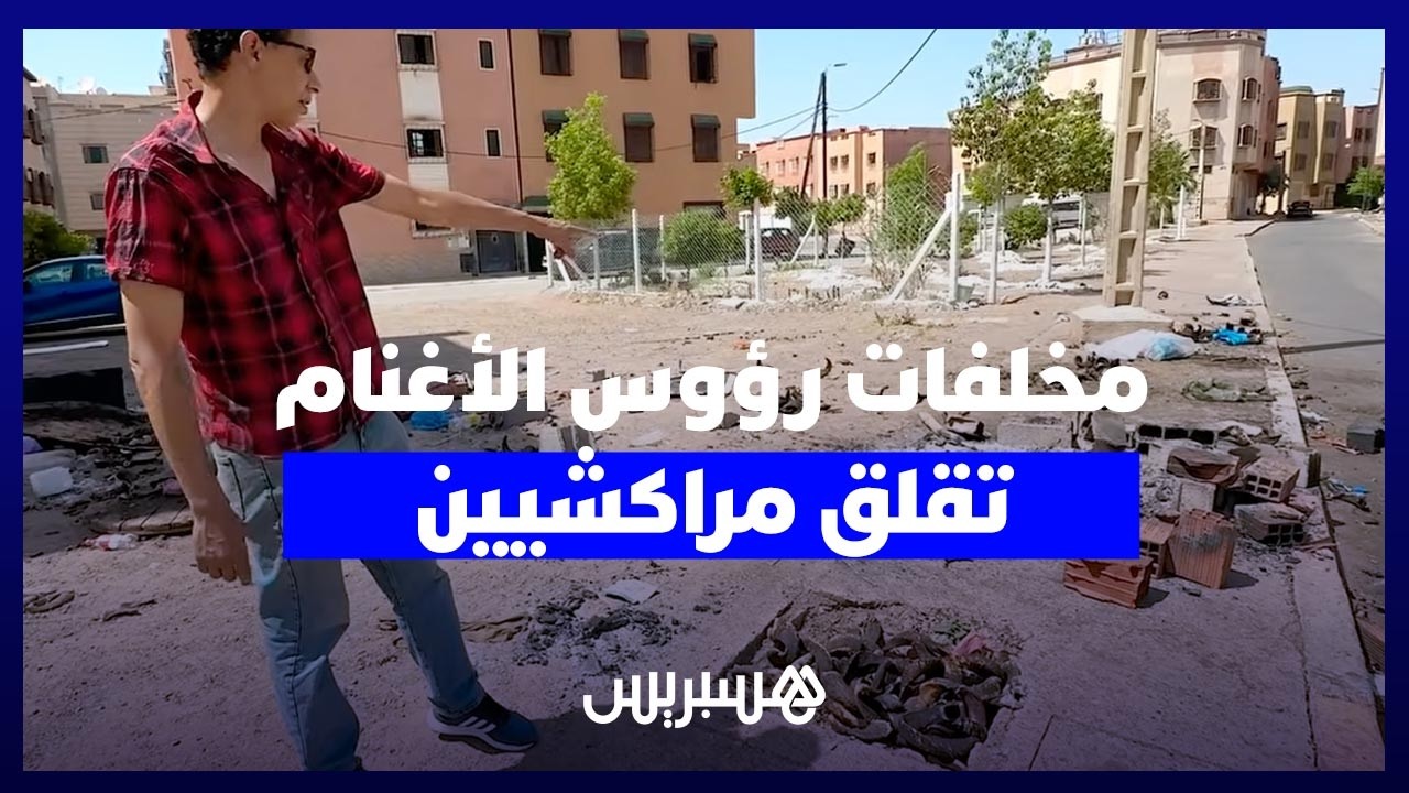 انتشار مخلفات رؤوس الأغنام بمراكش يثير مخاوف الساكنة ويعيد إشكالات النظافة والصحة thumbnail