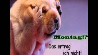 Willy Astor - Montag is