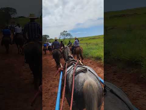 26 cavalgada de cafezal do Sul
