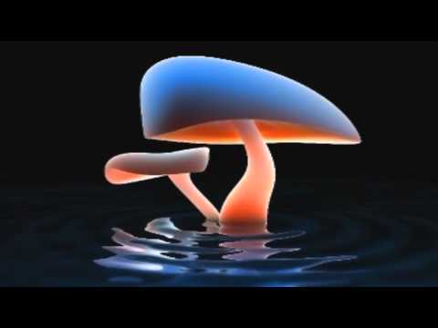 Atem Niblz - Spring Sigh