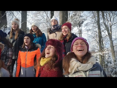 Bersice - Zeko i potočić