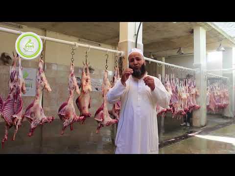 كلمة الشيخ سعيد درويش في الغوطة الشرقية في "حملة السلام لأضاحي أهل الشام"