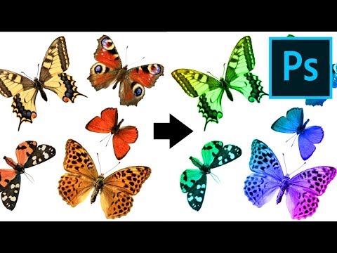 Photoshop for Beginners FREE COURSE