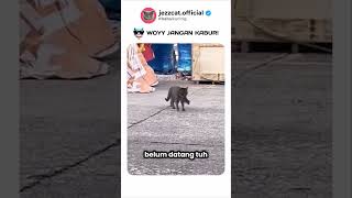 Download lagu WOY JANGAN KABUR! #shorts mp3