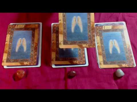 Wochenorakel vom 24.-30.10.2016 - Conny Koppers