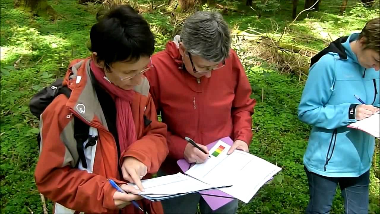 Tous en action ! Parc Livradois-Forez : formation des enseignants