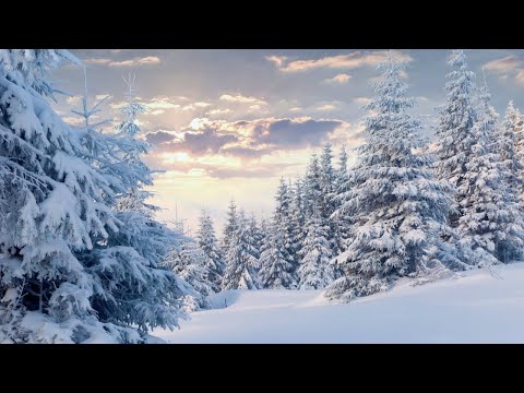 Maratone vs XiJaro & Pitch feat. Aylin — Euphoria (Extended Mix)