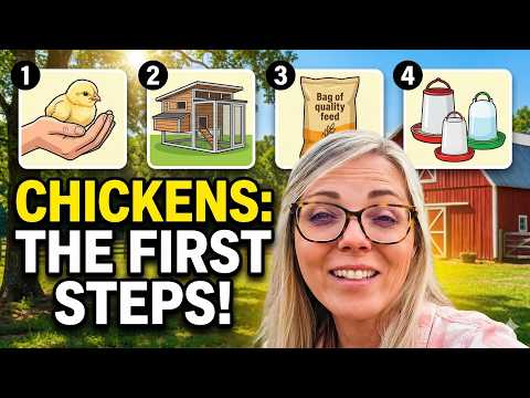 Backyard Chickens 101: What You ACTUALLY Need (No Fluff) 🐔