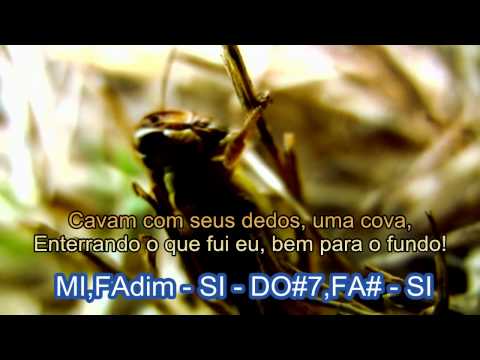 Fado Marana   SI   Reencontro   Jorge Fernando