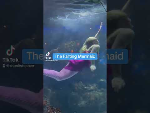 The Farting Mermaid #fart #funny #farting #mermaid #mermaids
