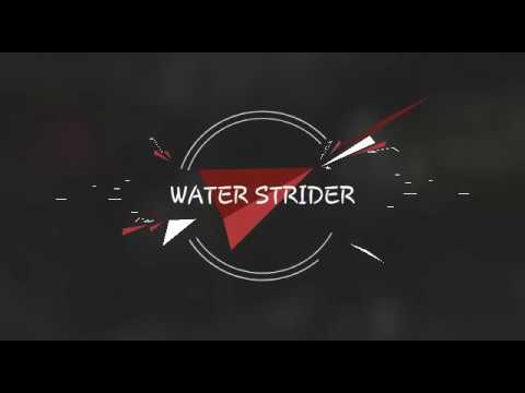 Water Strider (BETA): Build and Feature Demo