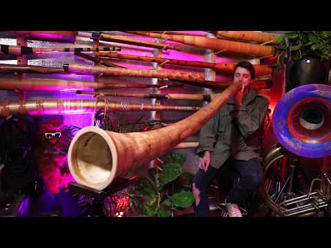 Agave Multidrone Didgeridoo Demo in C# AG013