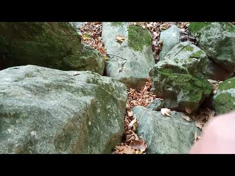 Defineciler Bölgede Define İşareti Kasa Arama Anı !!!