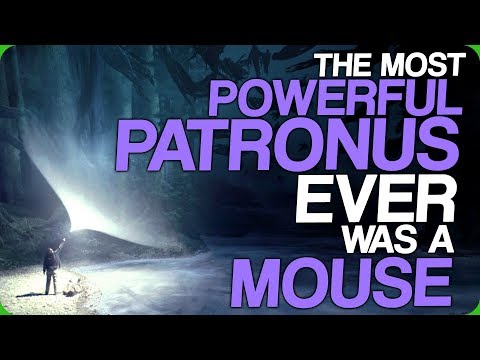 The Most Powerful Patronus Ever Was a Mouse (Try Not To Laugh Challenge - Doggoforce Edition)