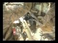 Paladin Live Fire