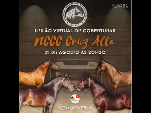 LEILÃO DE COBERTURAS NCCC CRUZ ALTA