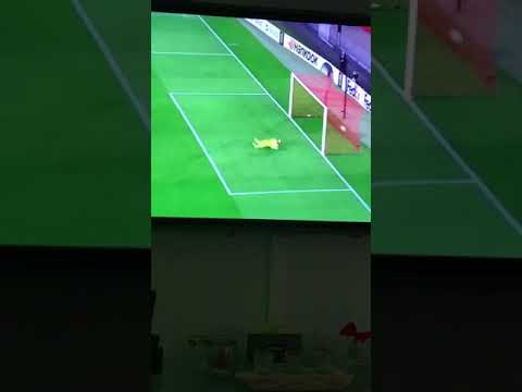 Sarr  magnifique but rennes- Jablonec