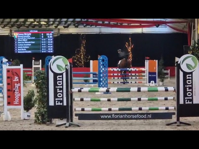 Movie CSI 1.30m jumping Class Z Approved Stallion Eternal Sunshine PM (Emerald x Kashmir v Schuttershof)