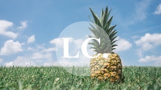 Petre Inspirescu - Delir 6