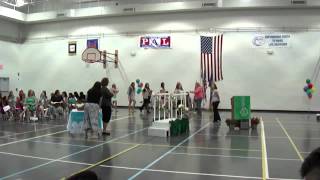 preview picture of video 'Girl Scouts Bridging Ceremony - Satellite Beach, Fl'