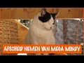 R.I.P. Mega Mindy  | DierenpraatTV