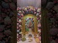 Status Of Shri Hanuman Ji Maharaj Salangpur Dham
