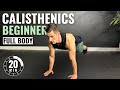 20 Min BEGINNER CALISTHENICS WORKOUT At Home No Equipment