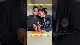 Chemical Effects of Electric Current #shorts #learnandfun #scienceexperiment  #effectsofcurrent