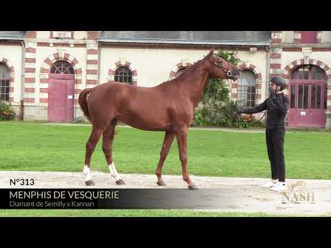 MENPHIS DE VESQUERIE