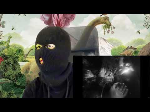 Kynda Gray - Lipsticks & Heartbreaks | ÄHRLICHE REAKTION