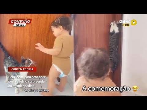 Vídeo: Bebê pede para gato abrir porta e felino surpreende ao atender pedido.