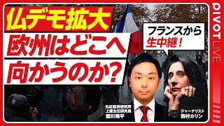Download lagu 【29日(木)12:00~生配信】フランス50万人デモの正体／マクロン政権と大統領選／欧州の国債市場／ドイツ極右台頭の脅威／日独首脳会談の裏側／AfDの台頭 mp3
