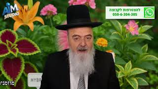 האם איסור כלאיים קיים גם בשתילת עצי סרק? הלכה יומית מפי הגאון הרב אהרן בוטבול - ז' כסלו התשפ"ו (הרב אהרון בוטבול) - התמונה מוצגת ישירות מתוך אתר האינטרנט יוטיוב. זכויות היוצרים בתמונה שייכות ליוצרה. קישור קרדיט למקור התוכן נמצא בתוך דף הסרטון