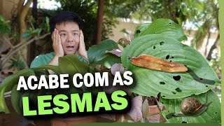 Miniatura do vídeo