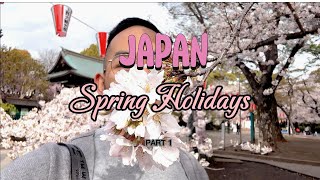 Japan Spring Festival Adventure with Friends 🇯🇵 | Tokyo, Kyoto, Osaka, Hiroshima & More!