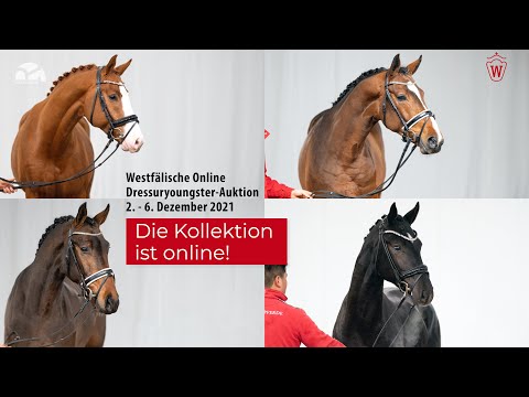 37. Westfälische Online Auktion Youngster Dressur 2. bis 6. Dezember 2021
