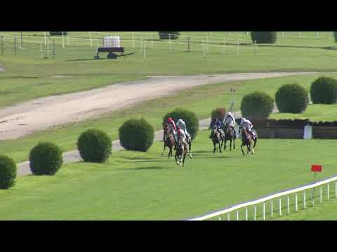 7. dostih - 13. Zlatý pohár Elektrizace Železnic Praha, a.s. - dostihy Velká Chuchle 15. 9. 2019
