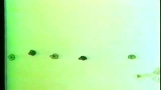 The Letter People TV 53 Words in Parts Part 1