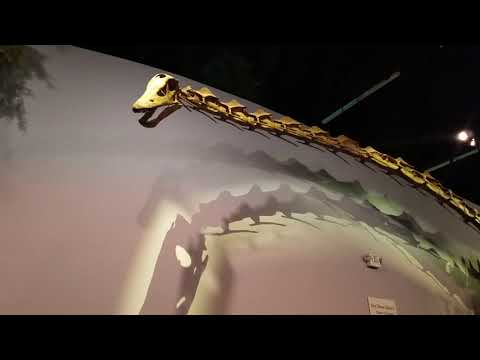 March @ Lehi dino museum