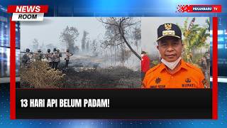 13 Hari Karhutla Belum Padam, Api Meluas di Kampar