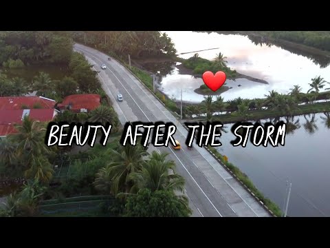 BEAUTY AFTER THE STORM