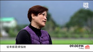 [實況] 誰來晚餐 S12E06 婚內失戀有解嗎