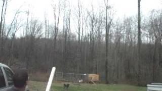 preview picture of video 'Potato gun in Bumpass VA'
