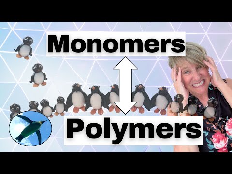 Monomers & Polymers | Chemistry Basics 🐧