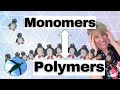 Monomers Polymers Chemistry Basics