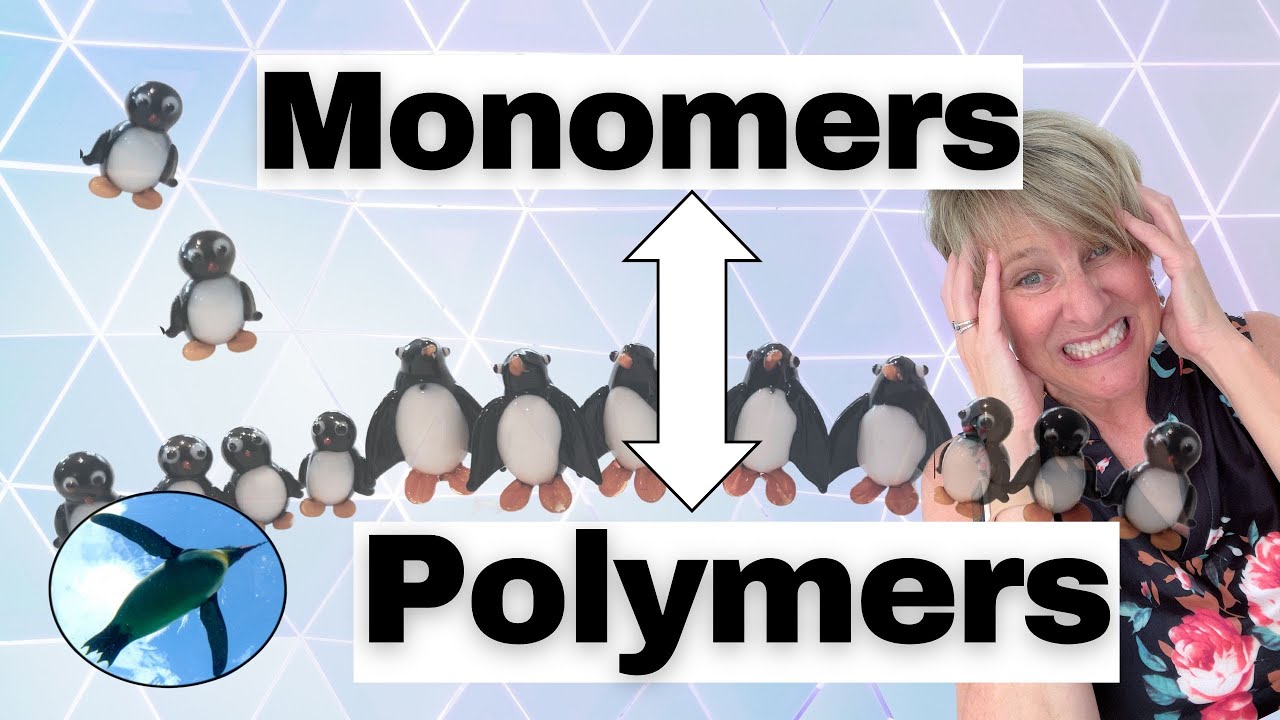 Chemistry Basics:  Monomers & Polymers 🐧