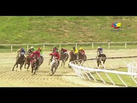 Copa Dama del Caribe 2022 - Philomena (VEN)