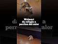 Homepage 1 Video thumbnail